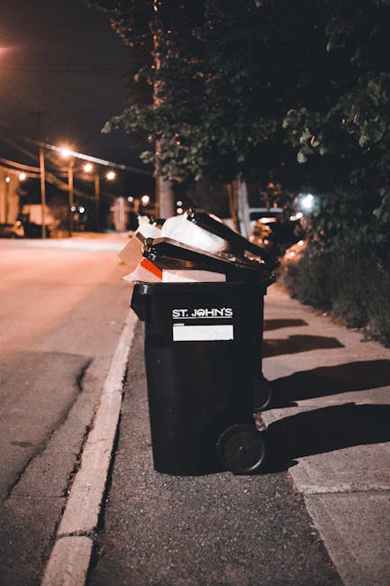 https://wasteremovallewisham.co.uk/blog/cheap-lewisham-rubbish-collection-versus-full-clearance/