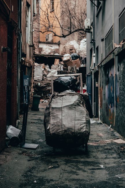 A narrow urban alleyway cluttered with discarded rubbish, including large black and white plastic bags, cardboard boxes, and miscellaneous debris piled up against a backdrop of weathered brick and concrete walls. The ground is uneven and stained, with visible dirt and small fragments of litter scattered across the surface. On the left side, a small trash bin lies overturned near a wooden post, while on the right, graffiti decorates the metal panels of an adjoining building. In the distance, additional waste materials are stacked haphazardly, partially obscured by the tangled branches of leafless trees overhead. The scene is dimly lit with natural ambient light, emphasizing the urban neglect and emphasizing the need for responsible rubbish removal services, such as those offered by Waste Removal Lewisham, to clear such clutter efficiently and responsibly in private waste management contexts.